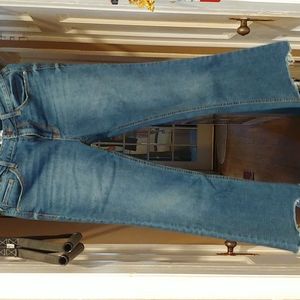Timeless Curvy Bootcut Jeans Sz 